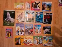 Pony club comichefte Wendy usw Brandenburg - Sydower Fließ Vorschau
