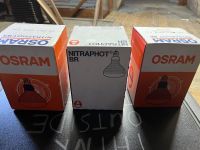 3x Osram Nitraphot BR 500W 230V E27 Fotolampe UVP Hamburg-Mitte - Hamburg St. Georg Vorschau