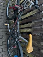 Verkaufe Fahrrad Rheinland-Pfalz - Dellfeld Vorschau