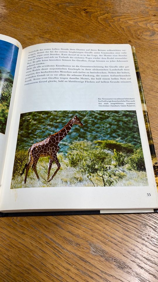 ZOO Ostafrika LINDA-Bildverlag; 1969 in Köln