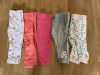 Leggings Hosen 74/80 Leipzig - Schönefeld-Abtnaundorf Vorschau