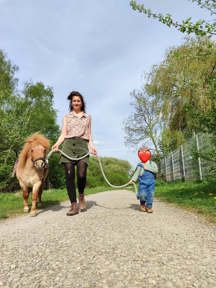 Pony Pflegebeteiligung in Bielefeld