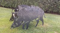 Grill Wildschwein Jagd Tiere Sachsen-Anhalt - Apenburg-Winterfeld Vorschau