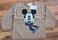 H&M Jacquard-knit Sweater  2-3 Jahren Gr:98 Baden-Württemberg - Sinzheim Vorschau