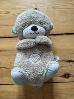 Schlummer Otter Fisher Price Brandenburg - Werder (Havel) Vorschau
