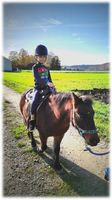 Kindergeburtstag mit Ponys bei euch daheim! Bayern - Bobingen Vorschau