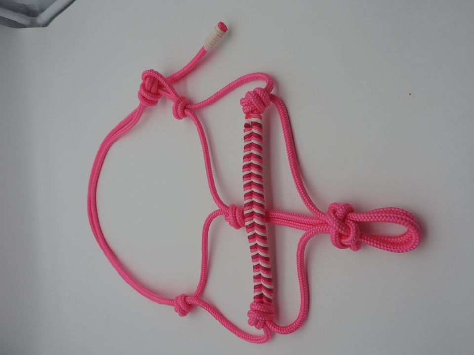 122) Knotenhalfter SHETTY neon pink in Sottrum