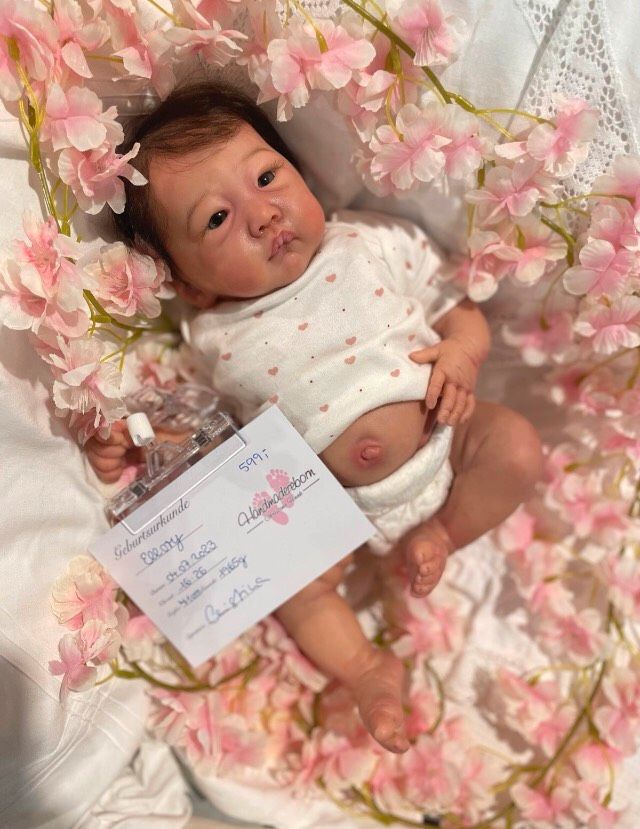 Reborn Baby Doll ❤️ Ellory ❤️ A. Arctello in Moormerland