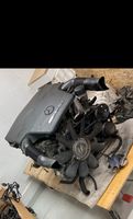 Mercedes w210 w202 w208 M113 AMG 5.5 Motor E55 V8 mit Getriebe Niedersachsen - Gehrden Vorschau