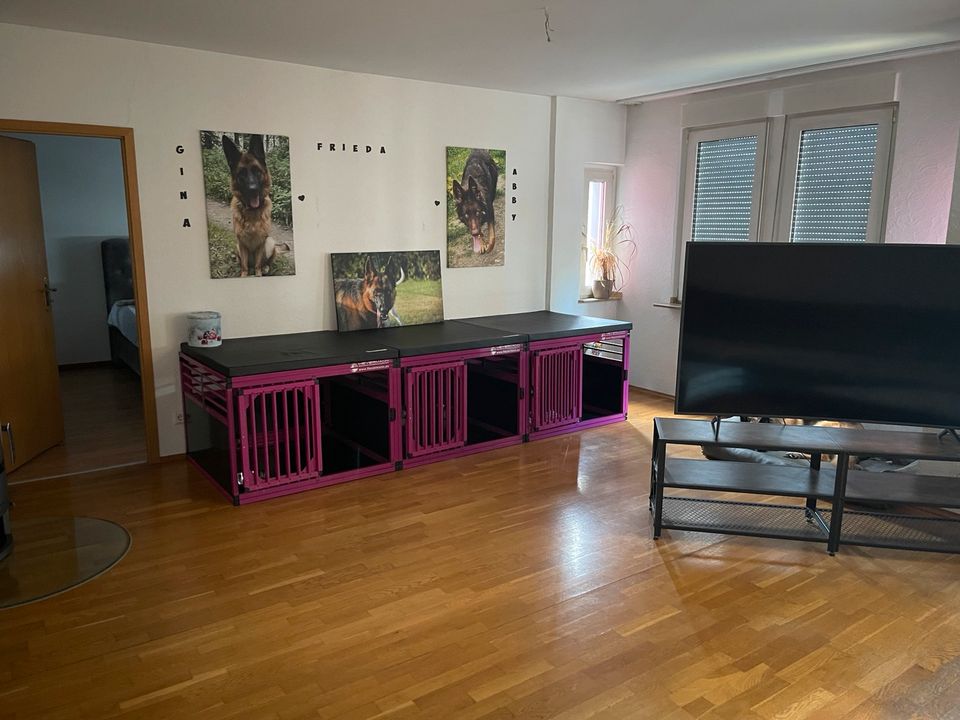 3 ZI Wohnung plus ein begehbarer Vorratsraum in Wuppertal