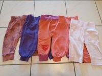 5 x Knickerbocker Hose Gr.68, Fred's World/Steiff *Setpreis* Bayern - Maisach Vorschau