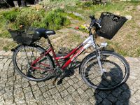 Damen Alu Trekking Fahrrad Barracuda Shimano Sachsen - Neustadt Vorschau