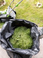 Großer Sack voll gerade frisch gemähtes Gras zu verschenken! Sachsen - Aue Vorschau
