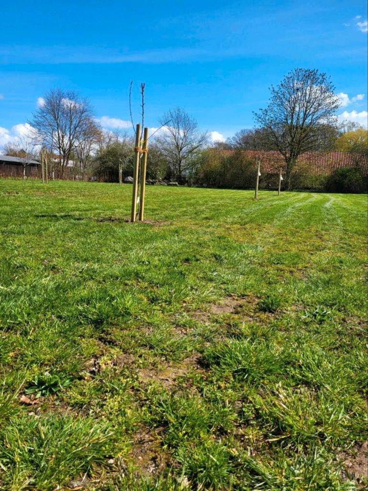 Stellplatz auf der Obstwiese in Petershagen