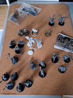 AoS Stormcasts / Age of Sigmar Nordrhein-Westfalen - Bottrop Vorschau