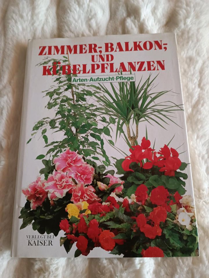 Zimmer-Balkon-und Kübelpflanzen Sachbuch in Südbrookmerland