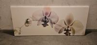 Bild Orchideen 140 × 56 cm !!! Hessen - Dietzenbach Vorschau