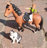 Schleich Pferd Katze u. Pflegerin Nordrhein-Westfalen - Wachtendonk Vorschau