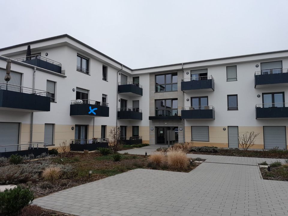 Ansprechende seniorengerechte 2-Zimmer-Wohnung in Puderbach in Puderbach