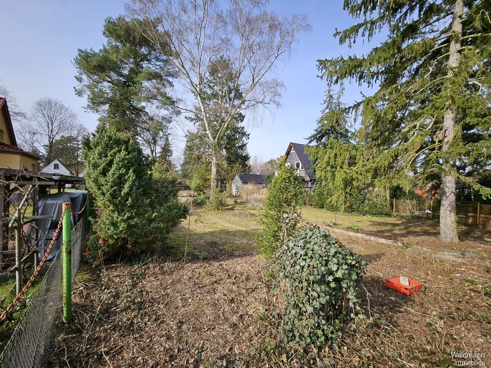 Traumhaftes Grundstück 940 m² Eichwalde Idyllische Lage fußläufig zum Wasser für Ihr Einfamilienhaus in Eichwalde