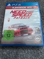 Need for Speed Payback Brandenburg - Neuruppin Vorschau