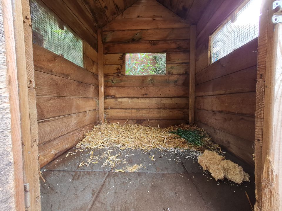 Hasenstall Stall Gehege Zaun Kaninchenstall Käfig Auslauf in Landesbergen