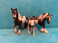 Schleich Tinker Familie Nordrhein-Westfalen - Kerpen Vorschau