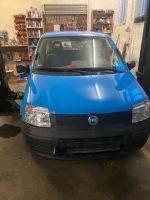 Schlachtfest Fiat Panda 1.1 8V 169 Bayern - Ingolstadt Vorschau