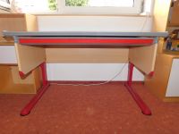 Schreibtisch Runner von Moll - rotes Gestell 65 cm x 115 cm Hannover - Ricklingen Vorschau