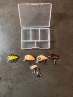 Mini hardbait Wobbler, Spinn Jig, mit Box Forelle/Barsch/Hecht Schleswig-Holstein - Neumünster Vorschau