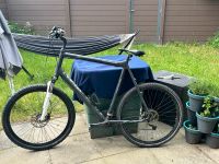 30er LX Mountainbike Hansestadt Demmin - Stavenhagen Vorschau