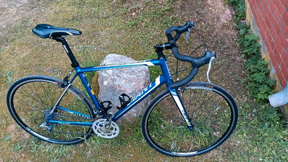 Gravel/Rennrad Giant defy in Küsten