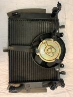 Yamaha YZF 600 R6 RJ03 Kühler Wasserkühler Mecklenburg-Vorpommern - Zinnowitz Vorschau