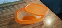 Tupperware Mini Max Schüssel faltbar 850 ml Brandenburg - Cottbus Vorschau