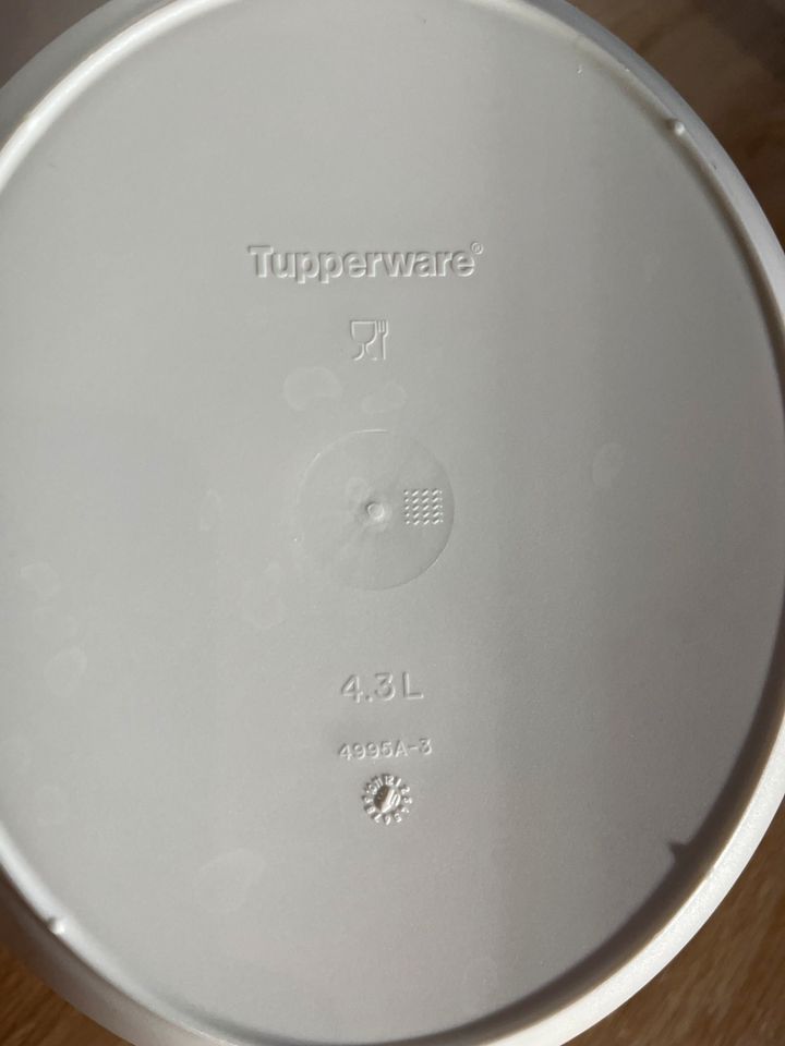 Tupperware Thermo-Duo Set beige/blau in Dürrholz