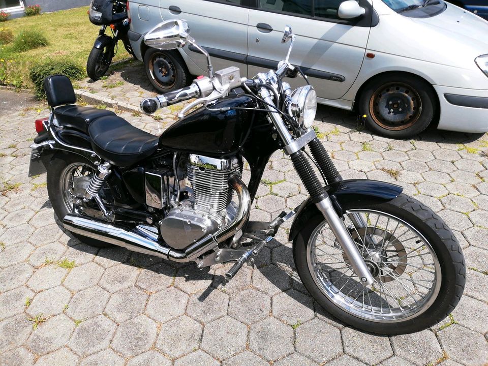 Suzuki Savage LS 650 in Halver