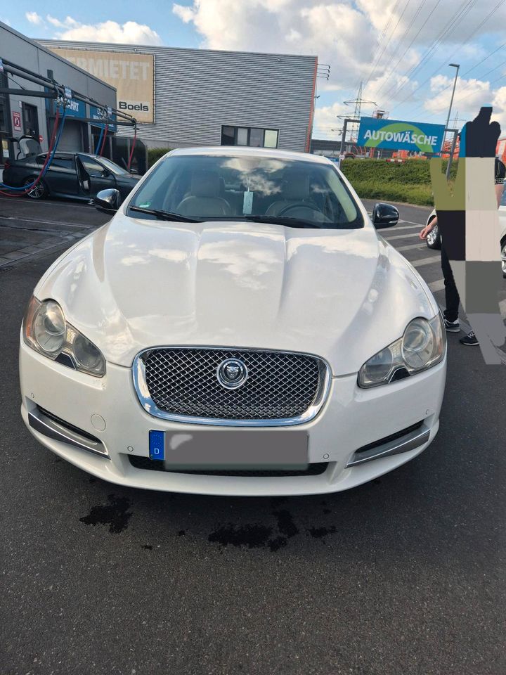                     Jaguar XF S  Sportwagen Luxury weiß Diesel 3,0 Motor Automatik AA
