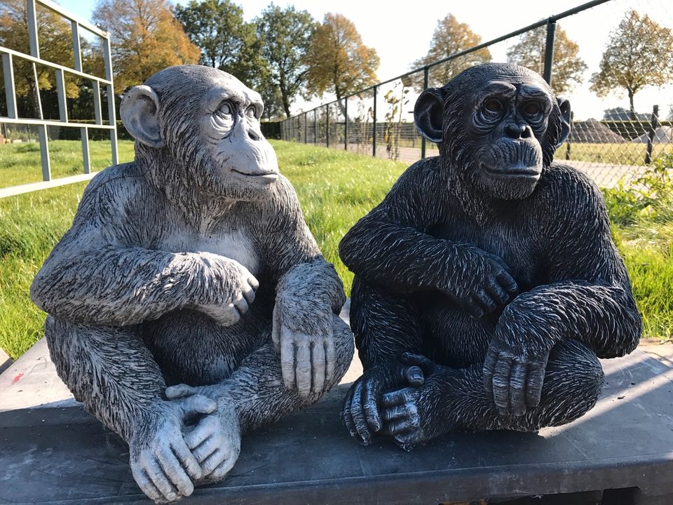 ‼️Schimpanse 52cm Chita Bonobo Steinguss Affe Affen Menschenaffen in Düsseldorf