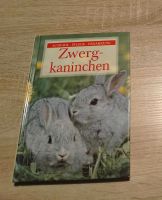 Zwergkaninchen Buch Sachsen - Annaberg-Buchholz Vorschau