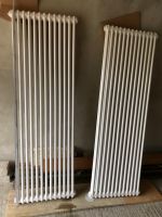 Arbonia Heizkörper Rohrradiator 2 Säuler 180cm*60cm Baden-Württemberg - Sulzburg Vorschau