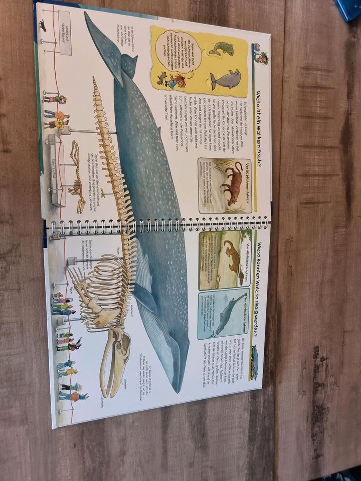 Kinderbuch WWW? Wale Delfine in Radevormwald