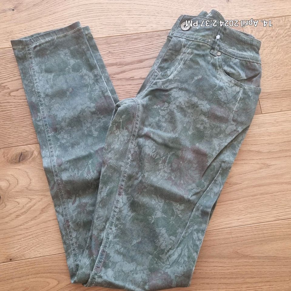 Buena Vista Jeans Malibu-Zip grün Gr. xxs in Ebenweiler