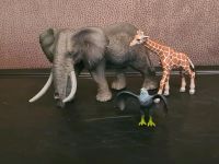 Schleich Elefant,Giraffe,Adler Schleswig-Holstein - Dänischenhagen Vorschau