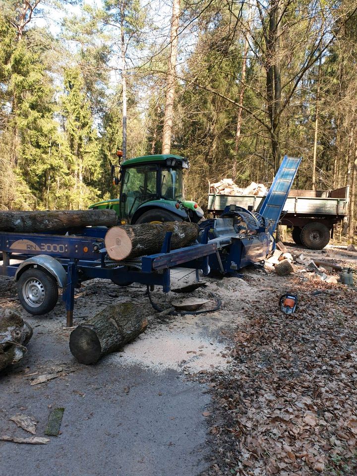 Sägespaltautomat Brennholz Feuerholz Stammholz in Ottersberg