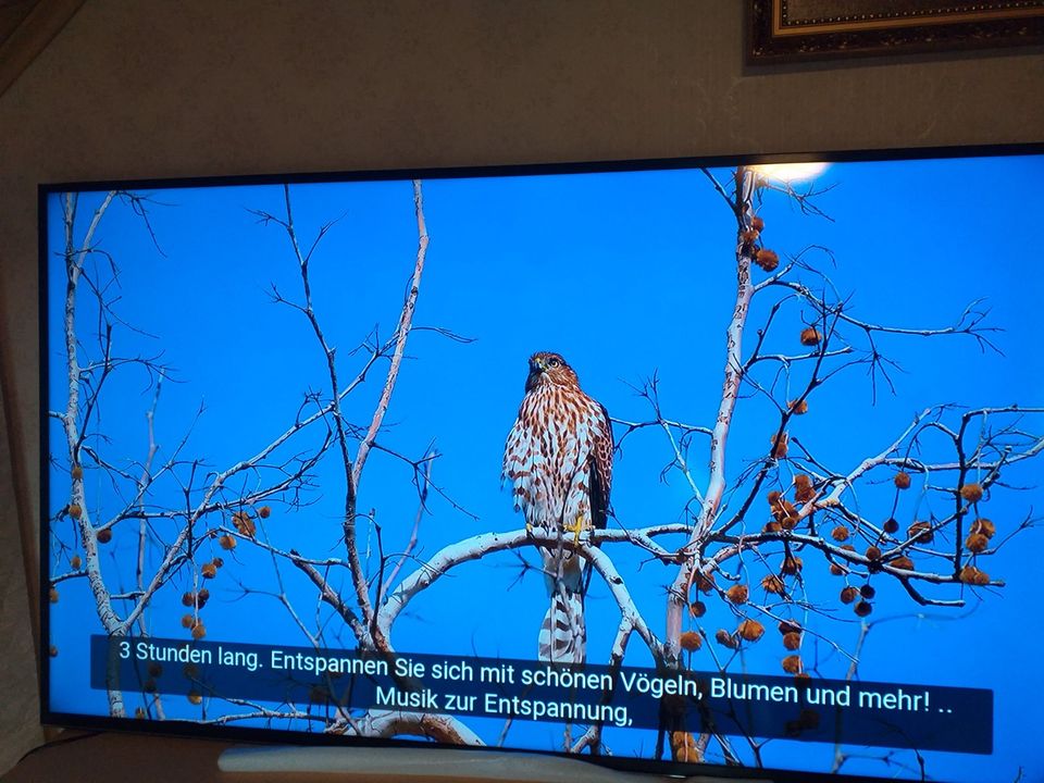 Samsung Smart TV 60 Zoll in Kaisersesch