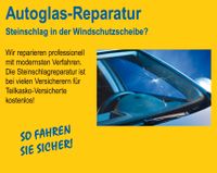 Autoglas Reparatur Sachsen-Anhalt - Halle Vorschau