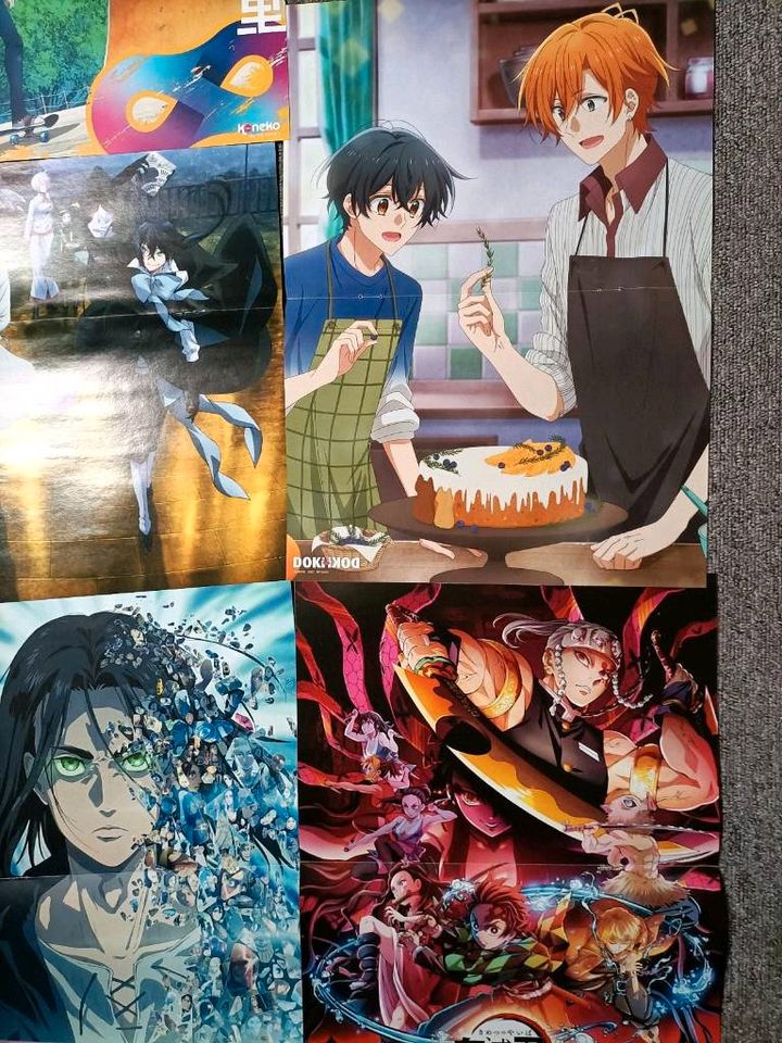 Verschiedene Anime Poster Aot Pokemon Demon Slayer Vanitas mha bl in Harsum