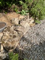 Suche Kalksteine aus der Region Bayern - Beratzhausen Vorschau