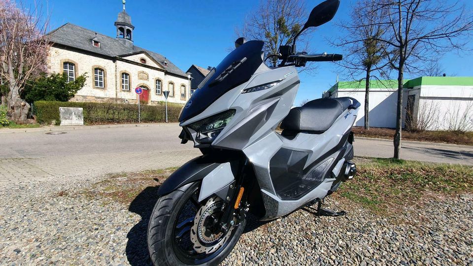 Sym JET-X 125☆ Neumodell 2024☆ Euro5☆ABS☆125ccm☆ /B&M in Goslar