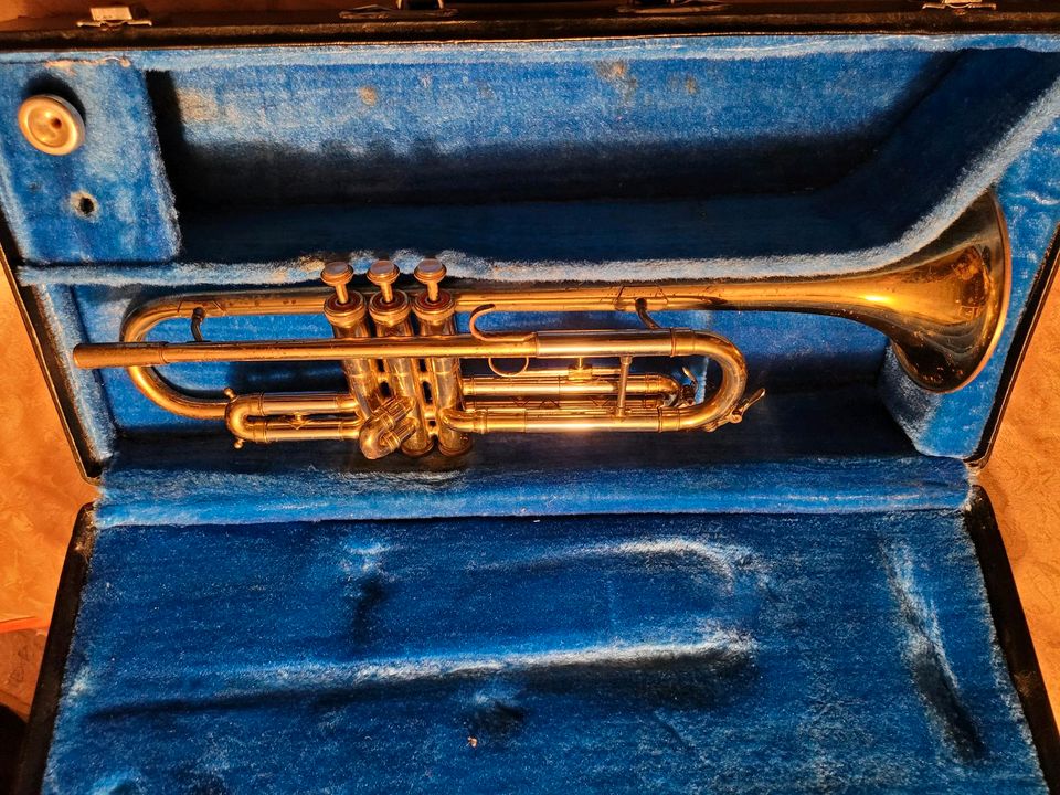 Qualität Trompete Meinl Artist,guten Zustand, Koffer, Mundstück in Riedenburg